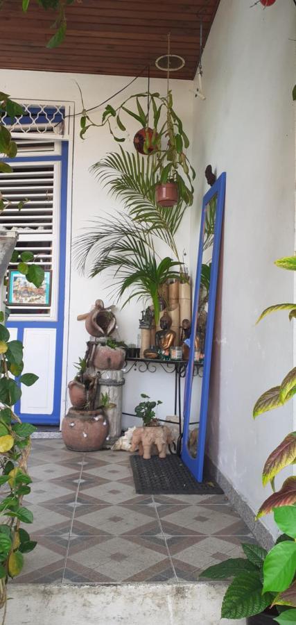 Chambre D'Hote La Calebasse 圣安娜 外观 照片